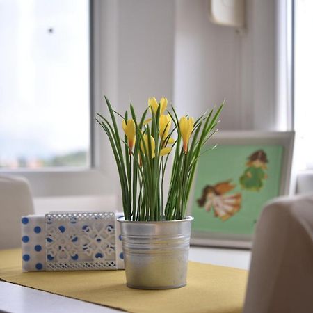 The Dream On Apartment Dubrovnik Exterior photo